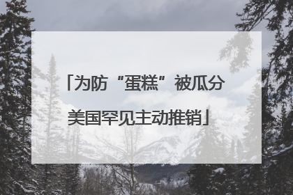 为防“蛋糕”被瓜分 美国罕见主动推销
