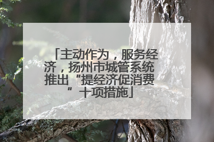 主动作为，服务经济，扬州市城管系统推出“提经济促消费”十项措施