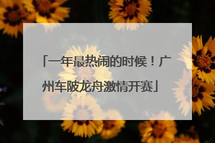 一年最热闹的时候！广州车陂龙舟激情开赛