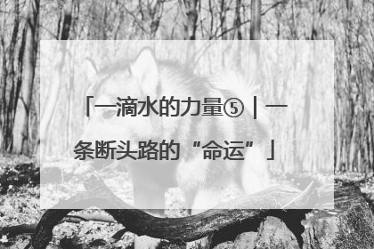 一滴水的力量⑤｜一条断头路的“命运”