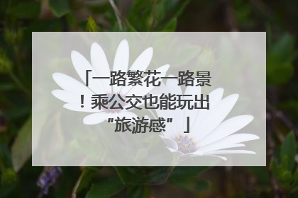 一路繁花一路景！乘公交也能玩出“旅游感”