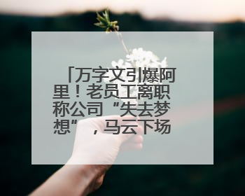万字文引爆阿里！老员工离职称公司“失去梦想”，马云下场回应