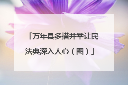 万年县多措并举让民法典深入人心（图）