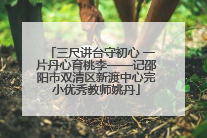 三尺讲台守初心 一片丹心育桃李——记邵阳市双清区新渡中心完小优秀教师姚丹