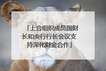 上合组织成员国财长和央行行长会议支持深化财金合作