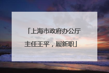 上海市政府办公厅主任王平，履新职