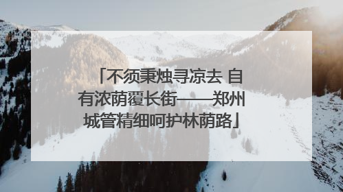 不须秉烛寻凉去 自有浓荫覆长街——郑州城管精细呵护林荫路