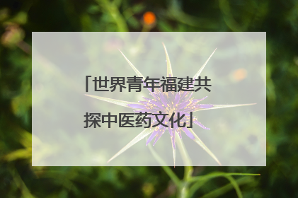 世界青年福建共探中医药文化