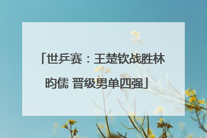 世乒赛：王楚钦战胜林昀儒 晋级男单四强