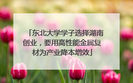 东北大学学子选择湖南创业，要用高性能金属复材为产业降本增效