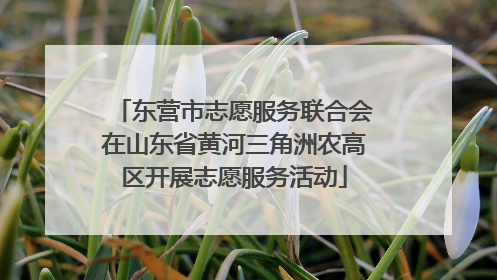 东营市志愿服务联合会在山东省黄河三角洲农高区开展志愿服务活动