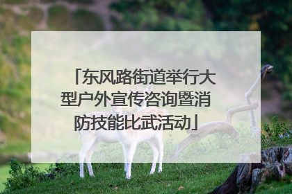 东风路街道举行大型户外宣传咨询暨消防技能比武活动