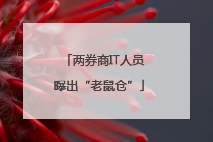 两券商IT人员曝出“老鼠仓”