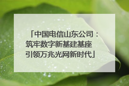 中国电信山东公司：筑牢数字新基建基座 引领万兆光网新时代