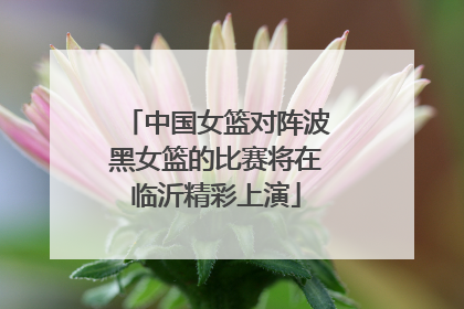 中国女篮对阵波黑女篮的比赛将在临沂精彩上演