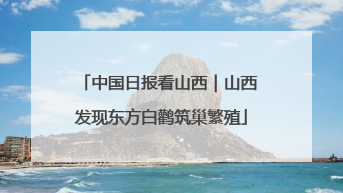中国日报看山西｜山西发现东方白鹳筑巢繁殖
