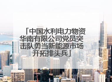 中国水利电力物资华南有限公司党员突击队勇当新能源市场开拓排头兵