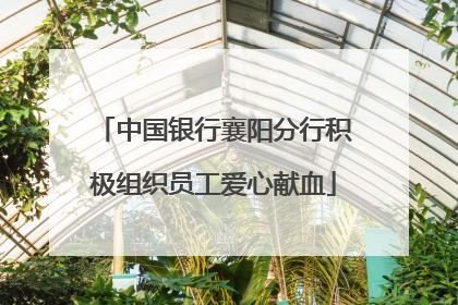 中国银行襄阳分行积极组织员工爱心献血