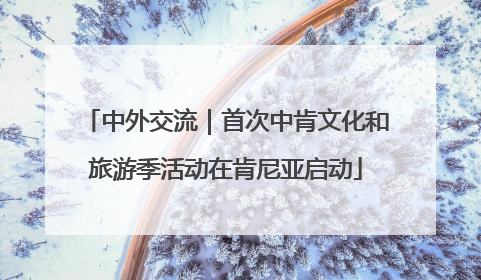 中外交流｜首次中肯文化和旅游季活动在肯尼亚启动
