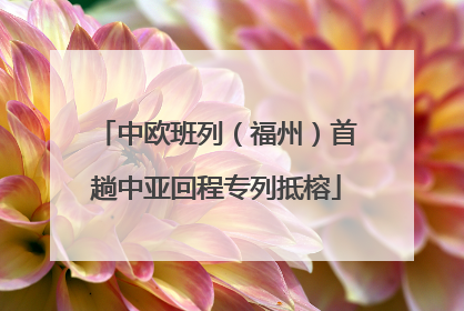 中欧班列（福州）首趟中亚回程专列抵榕