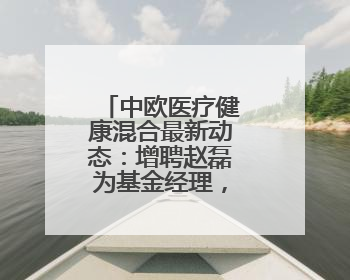 中欧医疗健康混合最新动态：增聘赵磊为基金经理，和葛兰共管