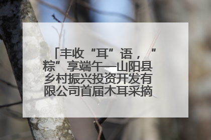 丰收“耳”语，“粽”享端午—山阳县乡村振兴投资开发有限公司首届木耳采摘活动盛大启幕