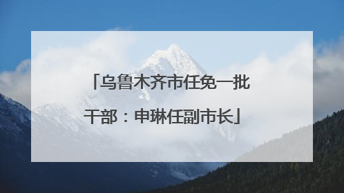 乌鲁木齐市任免一批干部：申琳任副市长