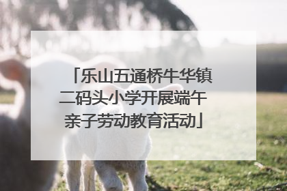 乐山五通桥牛华镇二码头小学开展端午亲子劳动教育活动