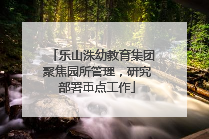 乐山洙幼教育集团聚焦园所管理，研究部署重点工作