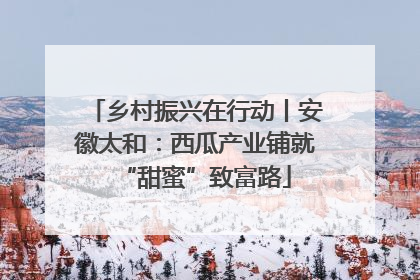 乡村振兴在行动丨安徽太和：西瓜产业铺就“甜蜜”致富路