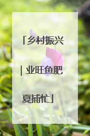 乡村振兴｜业旺鱼肥夏捕忙