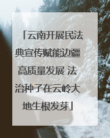 云南开展民法典宣传赋能边疆高质量发展 法治种子在云岭大地生根发芽