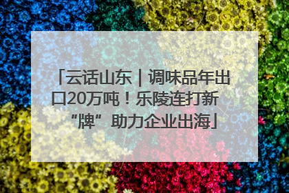 云话山东｜调味品年出口20万吨！乐陵连打新“牌”助力企业出海