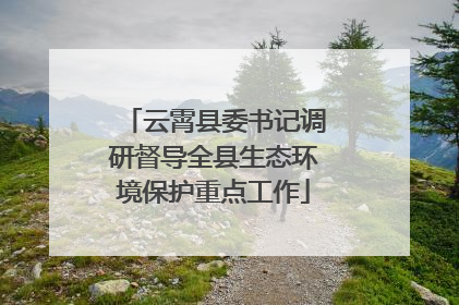云霄县委书记调研督导全县生态环境保护重点工作