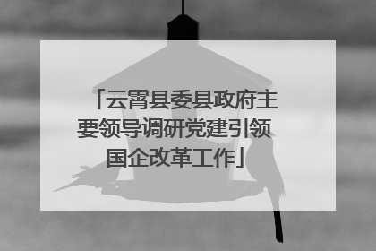 云霄县委县政府主要领导调研党建引领国企改革工作