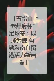 五指山“老州府杯”足球赛：以球为媒 勾勒海南自贸港活力新画卷