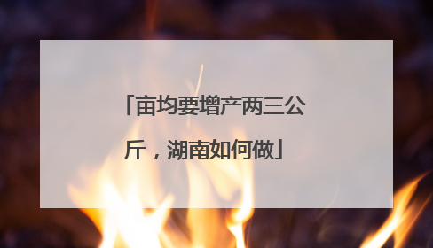 亩均要增产两三公斤，湖南如何做