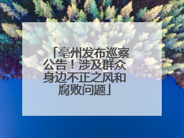 亳州发布巡察公告！涉及群众身边不正之风和腐败问题