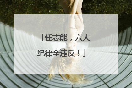 任志能，六大纪律全违反！