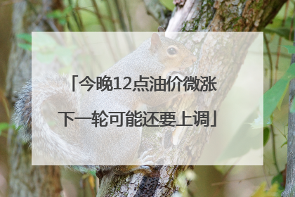 今晚12点油价微涨 下一轮可能还要上调