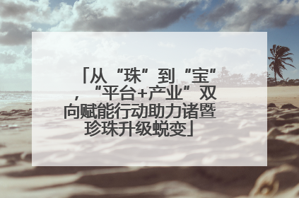 从“珠”到“宝”，“平台+产业”双向赋能行动助力诸暨珍珠升级蜕变