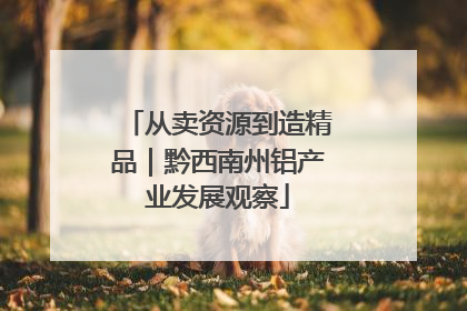 从卖资源到造精品｜黔西南州铝产业发展观察