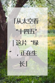 从太空看“十四五”｜这片“绿”，正在生长