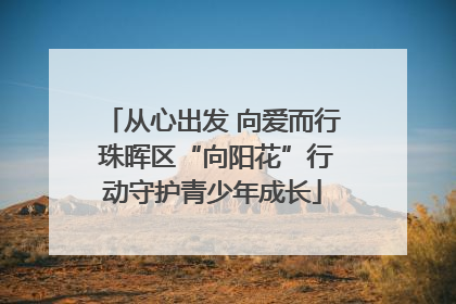 从心出发 向爱而行 珠晖区“向阳花”行动守护青少年成长