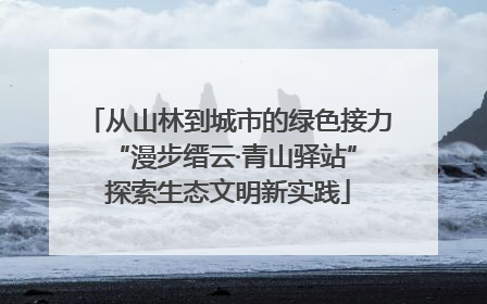从山林到城市的绿色接力 “漫步缙云·青山驿站”探索生态文明新实践