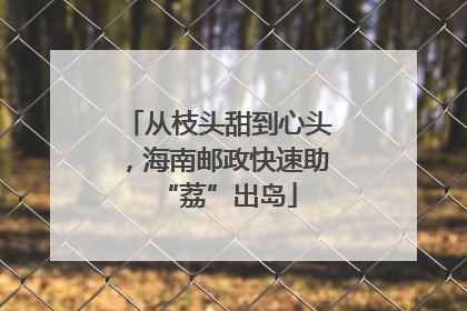 从枝头甜到心头，海南邮政快速助“荔”出岛