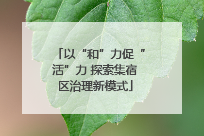 以“和”力促“活”力 探索集宿区治理新模式