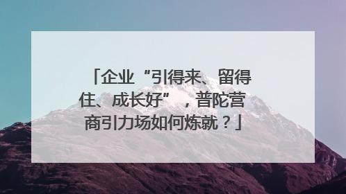 企业“引得来、留得住、成长好”，普陀营商引力场如何炼就？