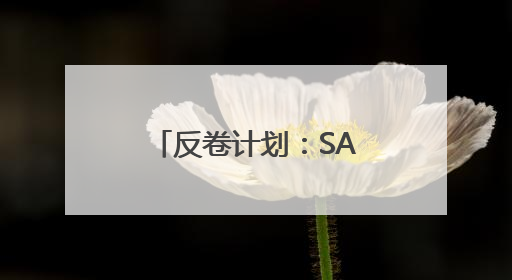 反卷计划：SANWA山业人体工学鼠标，手腕从此“躺赢”