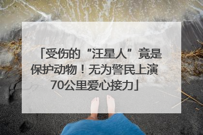 受伤的“汪星人”竟是保护动物！无为警民上演70公里爱心接力